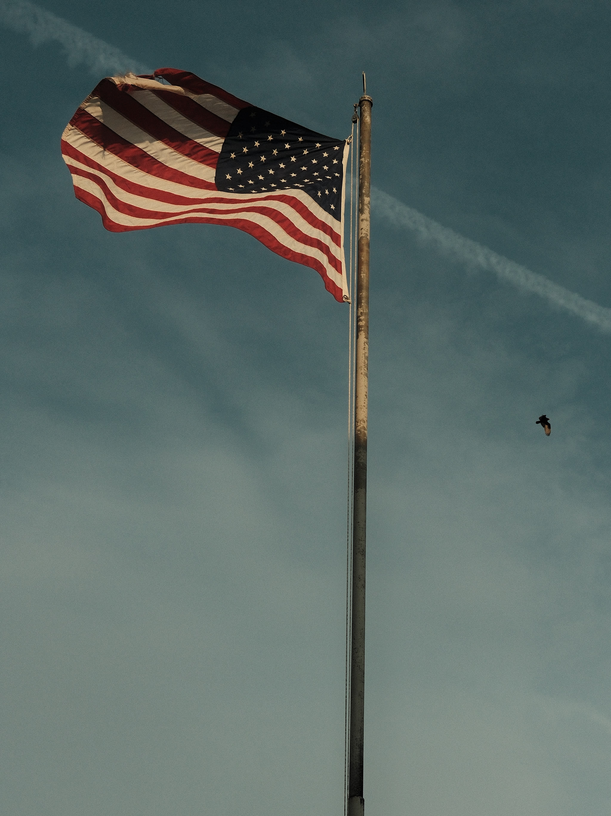 Bardstown, KY photograph