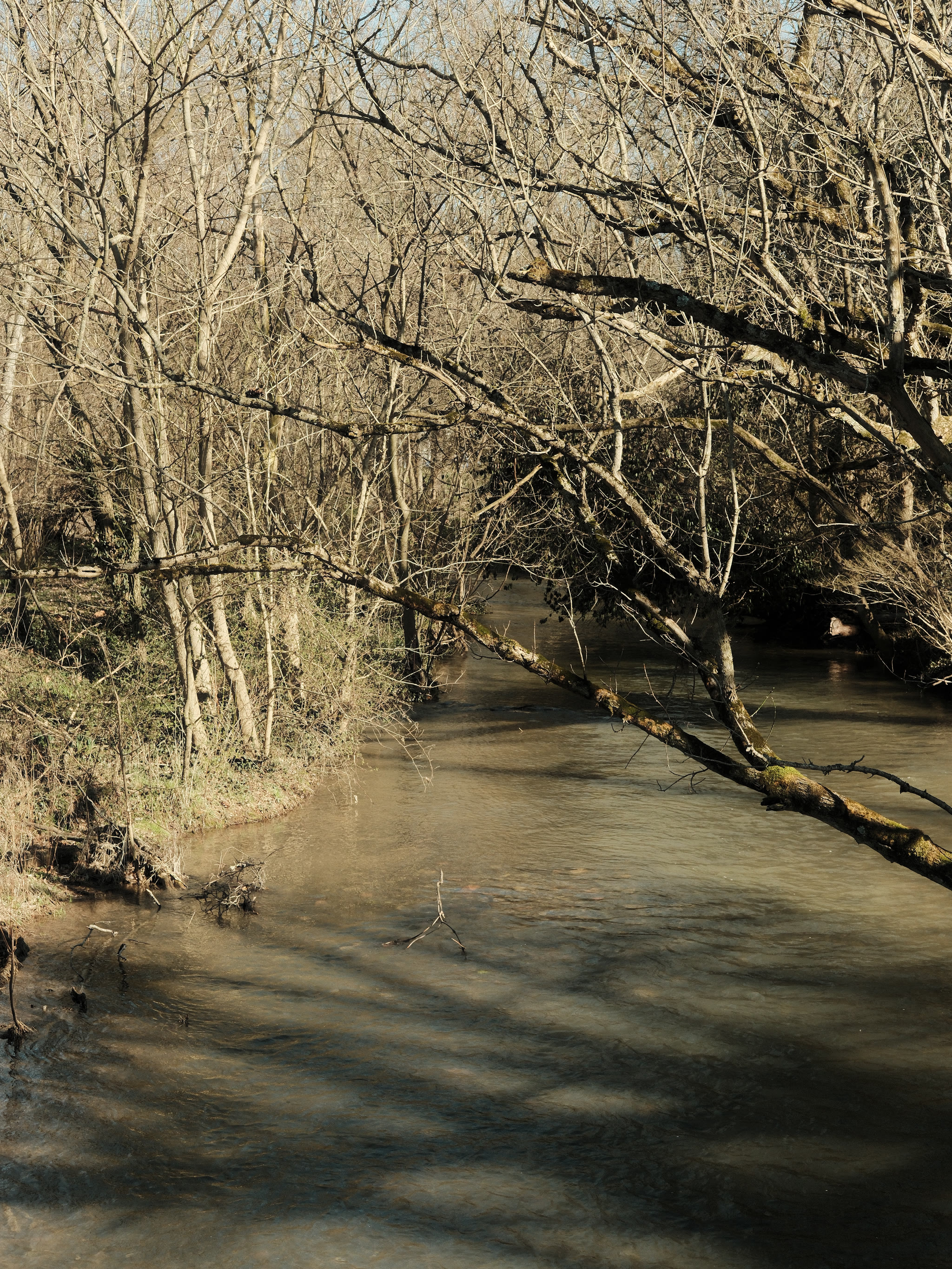 Midway, KY photograph